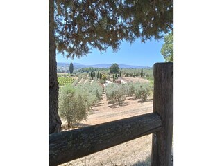Vakantieappartement Ponsacco Buitenaudio-opname 5