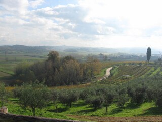 Appartamento per vacanze Ponsacco Ambiente 13