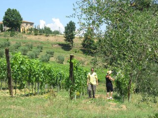Appartamento per vacanze Ponsacco Ambiente 24
