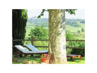 Appartamento per vacanze Ponsacco Ambiente 11