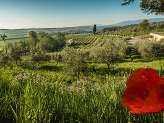 Appartamento per vacanze Ponsacco Ambiente 21
