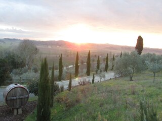 Appartamento per vacanze Ponsacco Ambiente 17