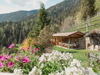 Appartamento per vacanze Lana Caratteristiche 21