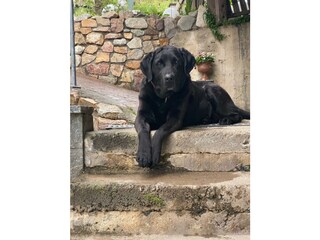 Appartamento per vacanze Lana Caratteristiche 22