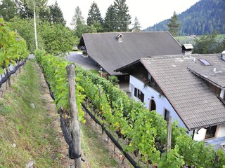 Appartamento per vacanze Lana Registrazione all'aperto 3