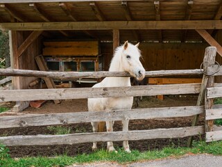 Appartamento per vacanze Lana Ambiente 32