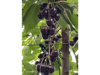 Appartamento per vacanze Lana Documento 36