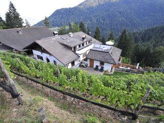 Appartamento per vacanze Lana Registrazione all'aperto 3