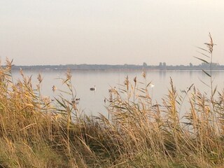 Appartamento per vacanze Middelhagen Ambiente 18