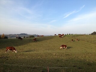 Appartamento per vacanze Middelhagen Ambiente 19