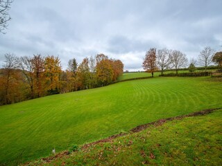 Ferienhaus Robertville Umgebung 48
