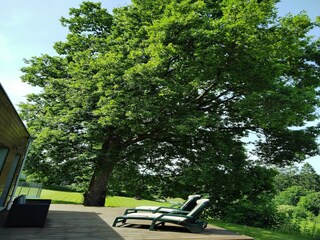 Casa de vacaciones Robertville Grabación al aire libre 17