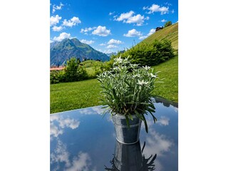 Bergblick