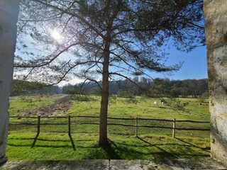 Vakantiehuis Robelmont Buitenaudio-opname 10