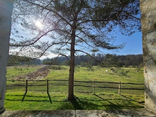 Vakantiehuis Robelmont Buitenaudio-opname 4