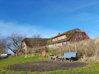 Holiday house Hallig Nordstrandischmoor Outdoor Recording 2