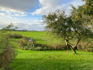 Ferienhaus Hallig Nordstrandischmoor Außenaufnahme 7