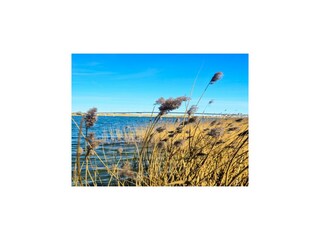 Appartement Hohenkirchen im Wangerland  42