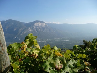 Ausblick v. Balkon