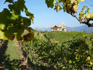 Santlhof im Weinberg