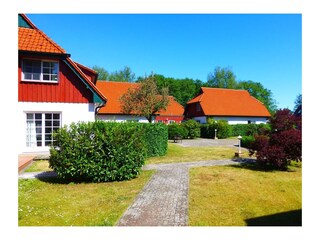 Ferienhaus Prerow Außenaufnahme 1