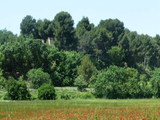 Apartment Cabrières-d'Avignon  14