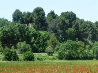Appartement Cabrières-d'Avignon  14