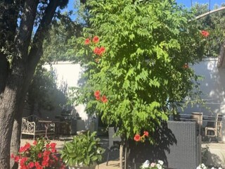 Appartement Cabrières-d'Avignon  25