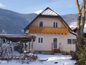 "großes Ferienhaus" - Bodensdorf - image1