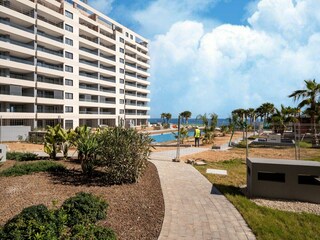 Apartment Punta Prima Umgebung 37