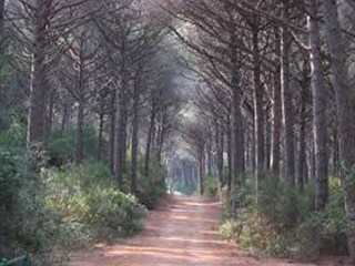 Appartamento per vacanze Vada Ambiente 33