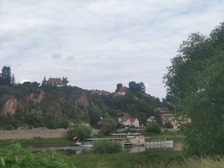 Elbeblick von der Muttibank 25.5.25