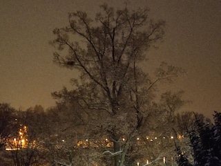 Winterblick auf die Elbe