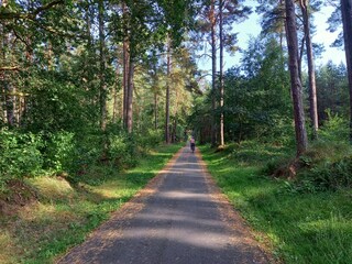 Holiday apartment Balmer See Environment 30