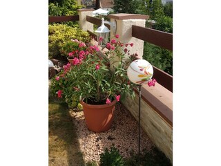 Holiday apartment Esthal Outdoor Recording 7