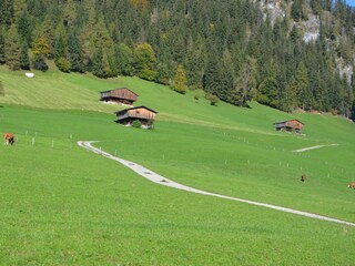 Appartamento per vacanze Alpbach Ambiente 15