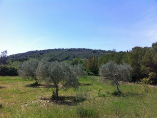 Casa de vacaciones Bedarieux Entorno 16