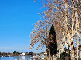 Apartment Le Touquet-Paris-Plage Environment 21