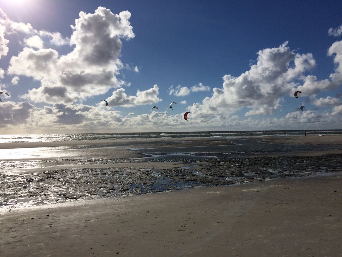 Herrlich, wenn einem der Wind um die Nase pustet:-)