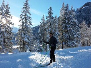 Appartamento per vacanze Zell am Ziller Ambiente 13