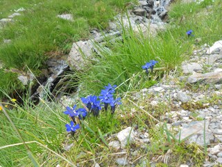 Appartamento per vacanze Zell am Ziller Ambiente 15