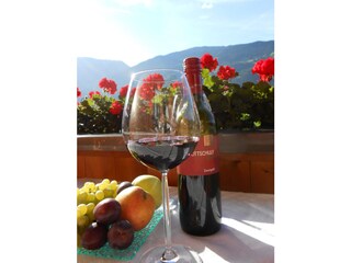 Appartamento per vacanze Zell am Ziller Caratteristiche 9