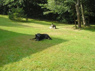 Bungalow Renesse Ambiente 17