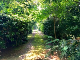 Bungalow Renesse Registrazione all'aperto 5