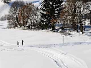 Blick über Skiloipen vom Balkon