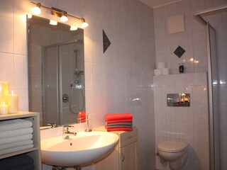 Appartamento per vacanze Zellberg Caratteristiche 17