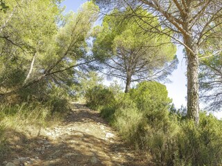 Apartment Laigueglia Environment 17