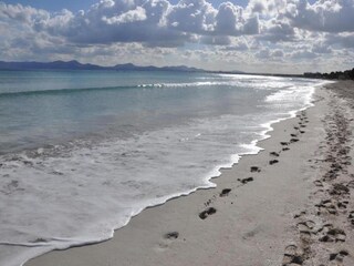 Appartement Alcudia Omgeving 17