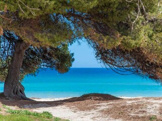 Apartment Alcudia Umgebung 25