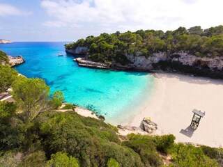 Appartement Alcudia Environnement 33